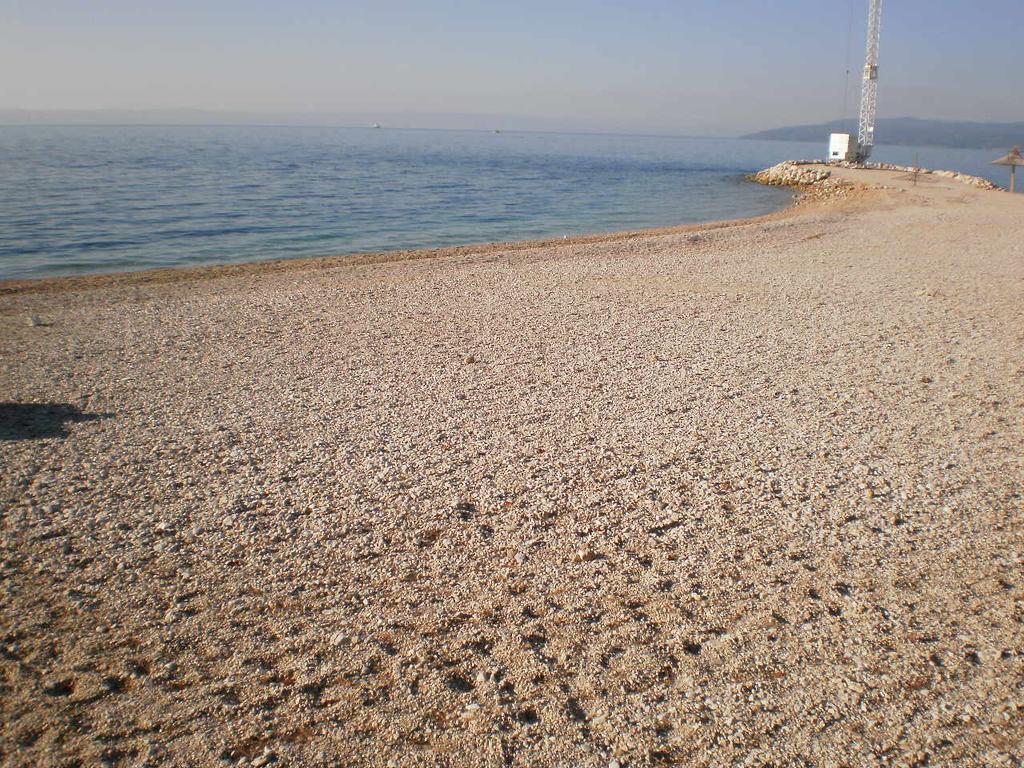 Holiday Drobnjak